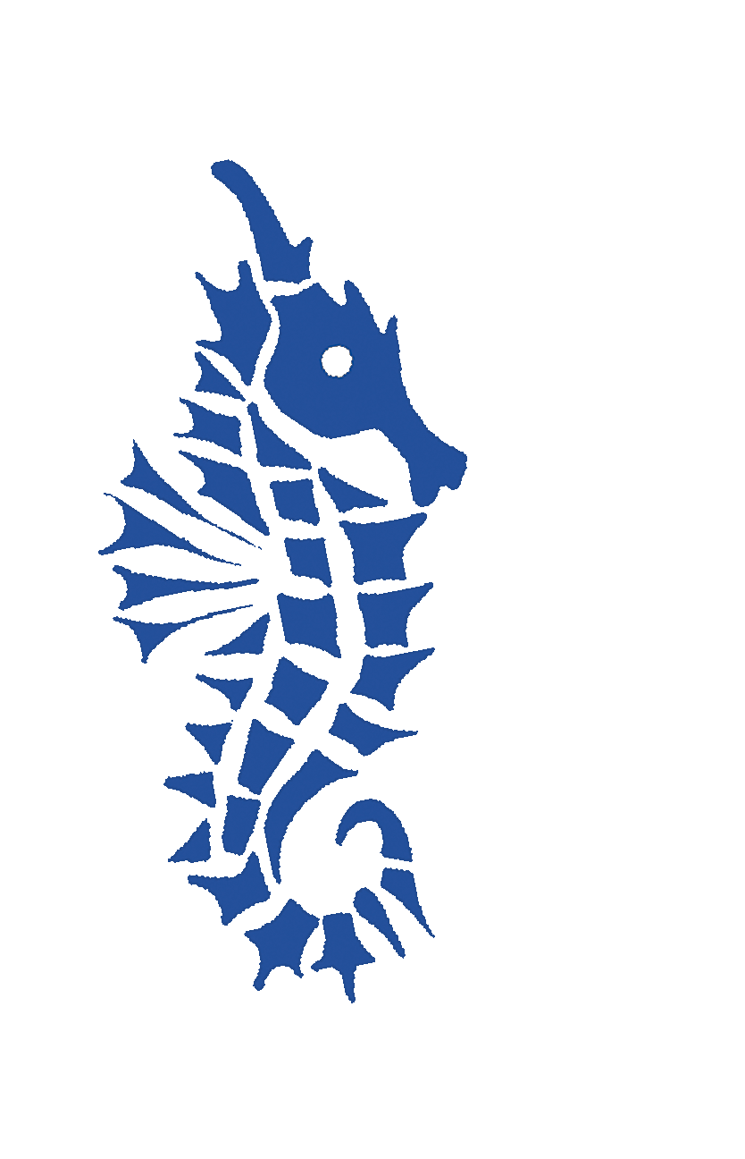 Création de Logo